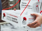 В Свердловской области состоится акция «Красная гвоздика»