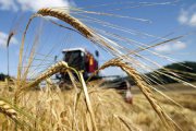 Свердловские сельхозпроизводители получат гранты до 70 миллионов рублей