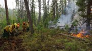 Евгений Куйвашев поручил премировать спасателей за ликвидацию природных пожаров: каждый получит по 50 тысяч рублей