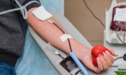 Перечень льгот донорам крови