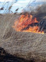 Евгений Куйвашев нацелил правительство и муниципальные власти на предупреждение и оперативную ликвидацию природных пожаров