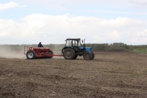  75 млн рублей получат начинающие сельхозпроизводители Свердловской области