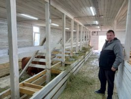 Семейные фермы в Свердловской области получат 111 млн рублей на развитие хозяйств