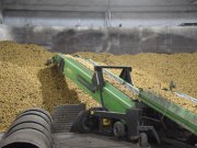 Завершена уборочная кампания в Свердловской области: уральцы полностью обеспечены овощами и картофелем 