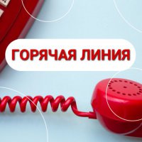 В прокуратуре Слободо-Туринского района работает телефон горячей линии 