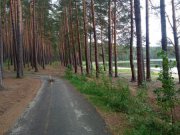 Локализованы все шесть лесных пожаров на территории Свердловской области