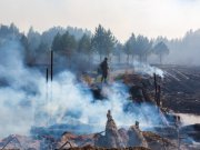 Локализованы все лесные пожары, действующие в Свердловской области