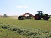 Власти Свердловской области запланировали более пяти миллиардов рублей на поддержку аграриев региона в 2024 году