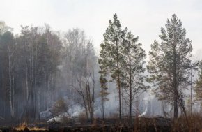 Пожароопасный сезон стартовал в Свердловской области