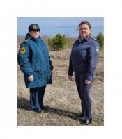 В Свердловской области инспекторы Россельхознадзора обнаружили почти 180 гектаров пожароопасных сельхозземель