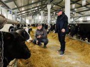 Приём заявок на гранты до 8 миллионов рублей начинающим сельхозпроизводителям стартовал в Свердловской области