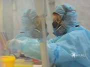 Сначала проверят врачей и больных пневмонией: в Екатеринбург привезли тесты на антитела к COVID-19
