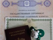 Управление ПФР в г. Ирбите Свердловской области (межрайонное) информирует о проактивном оформлении сертификатов на материнский капитал
