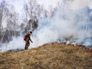Благодаря сообщениям жителей Свердловской области о возгораниях в лесу удается своевременно потушить до 50% лесных пожаров