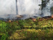 С начала года в лесах Свердловской области выявлено 157 нарушений правил пожарной безопасности