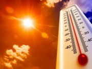 МЧС дает рекомендации, как пережить аномальную жару