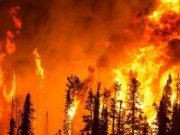 Губернатор Евгений Куйвашев дал оперативные поручения в связи с природным пожаром вблизи горы Волчиха 