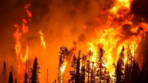 Губернатор Евгений Куйвашев дал оперативные поручения в связи с природным пожаром вблизи горы Волчиха 