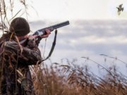 В Свердловской области началась выдача разрешений на весеннюю охоту