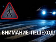 На территории Свердловской области стартует профилактическое мероприятие "Безопасная дорога"    