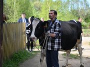 Многодетной семье Маркиных передали корову по поручению губернатора Евгения Куйвашева 