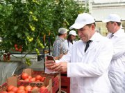 Евгений Куйвашев познакомил Дмитрия Патрушева с ведущими агропромышленными предприятиями региона и достижениями учёных в сельском хозяйстве