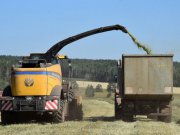 К уборке зерновых культур приступили в Свердловской области