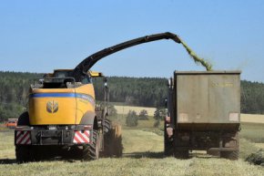К уборке зерновых культур приступили в Свердловской области
