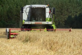 Перевыполнен план по уборке зерновых культур и заготовке кормов в Свердловской области