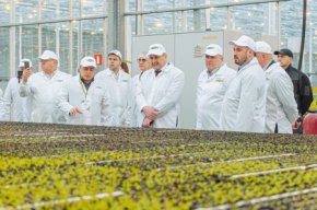 Белорусские аграрии познакомились с новейшими технологиями выращивания огурцов и томатов на Урале