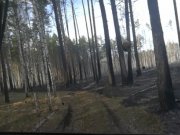 Евгений Куйвашев утвердил сводный план тушения лесных пожаров в 2023 году