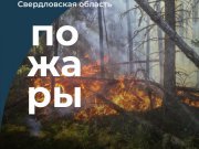 Количество локализованных и ликвидированных пожаров в Свердловской области увеличилось