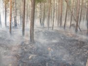 Площадь и количество действующих лесных пожаров на Среднем Урале за прошедшие сутки значительно сократились