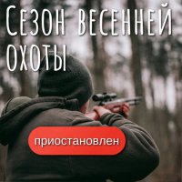 Ограничения на весеннюю охоту продлены до 10 мая в Свердловской области для профилактики лесных пожаров0
