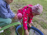 В Слободо-Туринском детском саду экологические экскурсии как форма экологического образования дошкольников