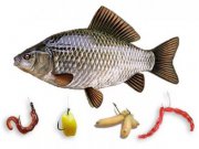 Рыбалка в июле: на что ловить рыбу?