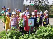 В детском саду Слободо-Туринского района реализуется познавательно-исследовательский проект "Огород на участке"