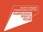 Свердловские предприниматели получат доступ к мерам господдержки по партнёрским программам Минэкономразвития России