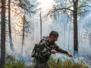 Губернатор Евгений Куйвашев выделил более 160 миллионов рублей на премирование борцов с лесными пожарами