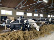 Ветеринарные лаборатории Свердловской области расширяют экспортный потенциал местных производителей сельхозпродукции