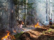 Итоги особого пожароопасного периода подвели в Свердловской области