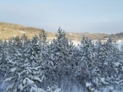 Патрулирование лесов Свердловской области будет усилено в преддверии Нового года