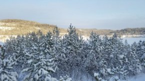 Патрулирование лесов Свердловской области будет усилено в преддверии Нового года