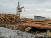 Проверки лесоперерабатывающих предприятий Свердловской области стартовали по поручению губернатора Евгения Куйвашева