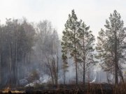 Пожароопасный сезон стартовал в Свердловской области