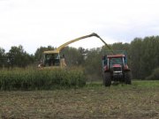 Сельхозпредприятия Свердловской области могут получить до 90% компенсации за обучение сотрудников редким профессиям