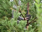 Евгений Куйвашев направил почти 7 миллионов рублей на приобретение фотоловушек для борьбы с поджигателями лесов