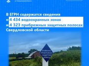 В ЕГРН содержатся сведения о 4 434 водоохранных зонах и 4 323 прибрежных защитных полосах Свердловской области
