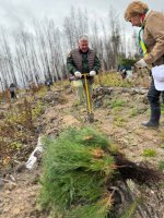 Более 160 тысяч хвойных деревьев высадят в лесах Свердловской области участники акции «Сохраним лес»