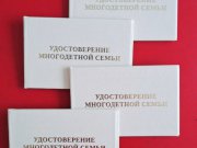 Многодетные семьи Свердловской области начали получать новые удостоверения единого образца